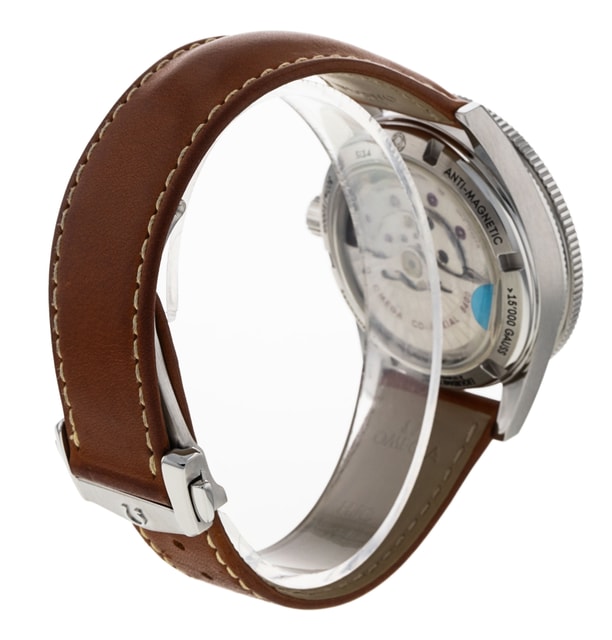 Omega Seamaster 300 233.32.41.21.01.002 Image 3